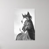 Wild Spirited Horse Zwart en Wit Canvas Afdruk (Voorkant)