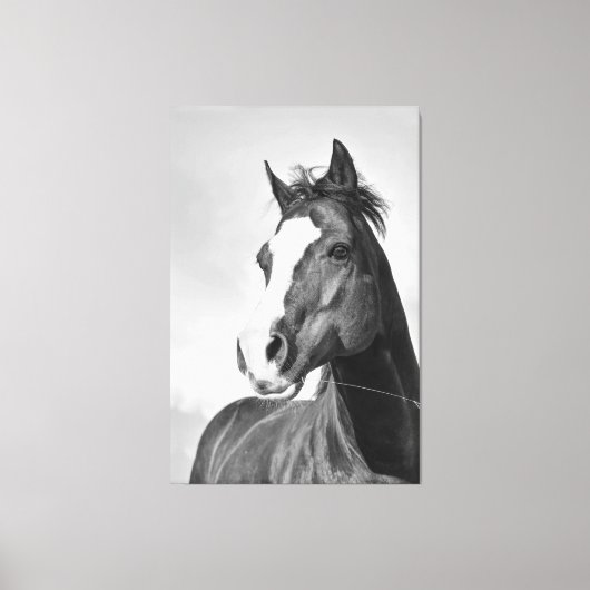 Wild Spirited Horse Zwart en Wit Canvas Afdruk (Voorkant)