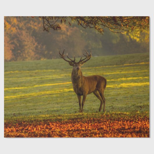 Wild stag cadeaupapier (Vlak)