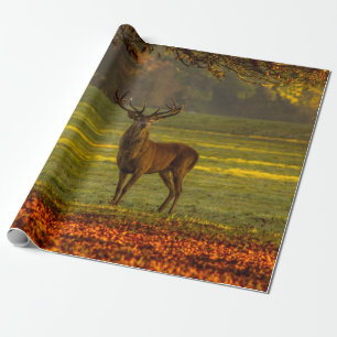 Wild stag cadeaupapier