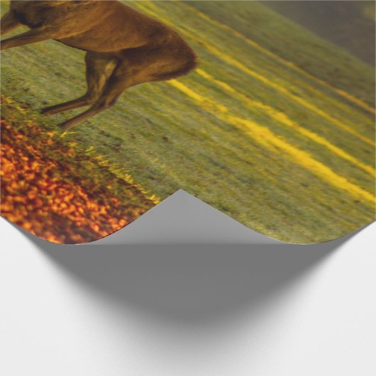 Wild stag cadeaupapier (Hoek)