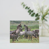 wild stallion briefkaart (Staand voorkant)