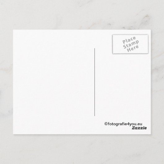 wild stallion briefkaart (Achterkant)