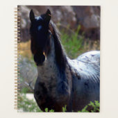 Wild Stallion in Utah Planner (Voorkant)
