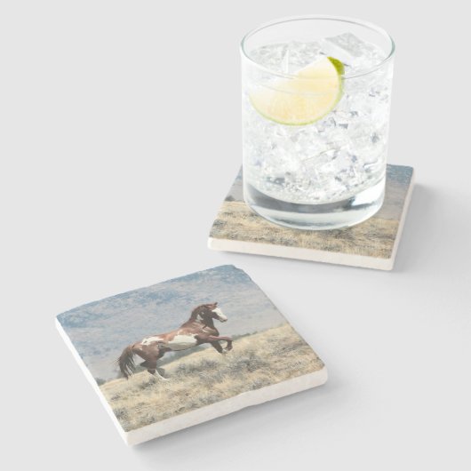 Wild Stallion Onderzetter (Zijkant)