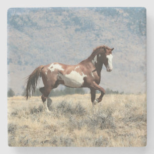 Wild Stallion Onderzetter