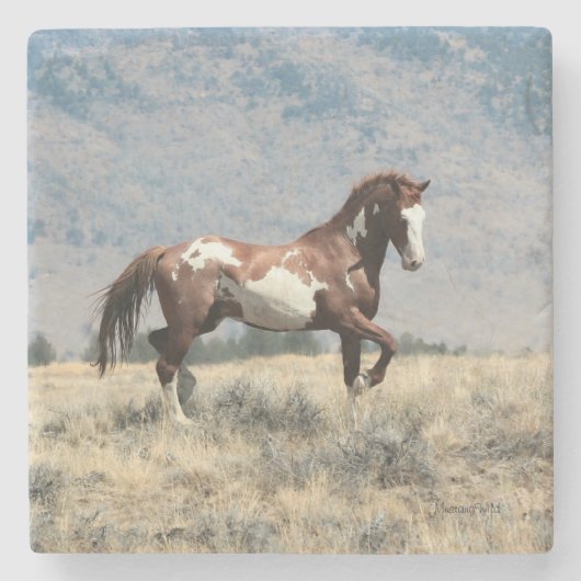 Wild Stallion Onderzetter (Voorkant)