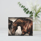Wild Stallion Post Card Briefkaart (Staand voorkant)