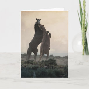 Wild Stallions Note Cards Kaart