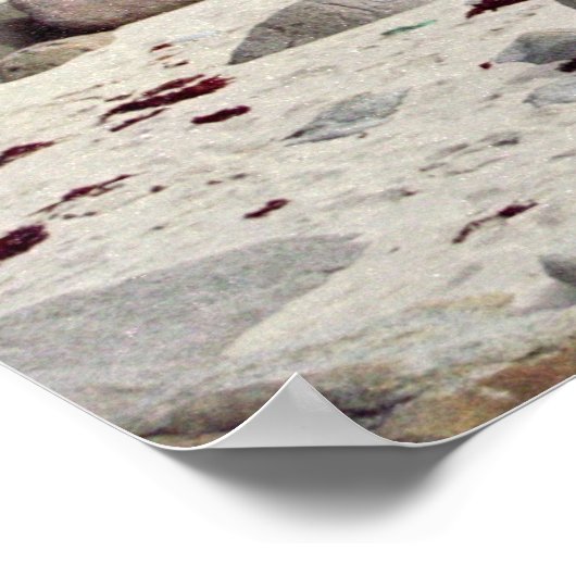 Wild Stony Beach in het Poster Noorwegen (Hoek)