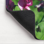 Wild Sweet-pea Flower Muismat (Hoek)