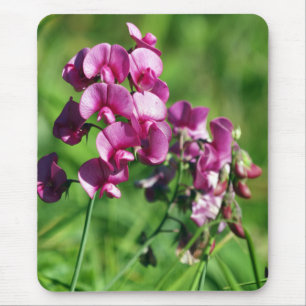 Wild Sweet-pea Flower Muismat