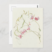 Wild Sweet Pea van Margaret Armstrong Briefkaart (Voorkant / Achterkant)