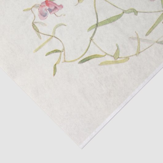 Wild Sweet Pea van Margaret Armstrong Tissuepapier (Detail)