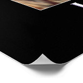 Wild Tabby Cat Demotivational Animal Poster (Hoek)