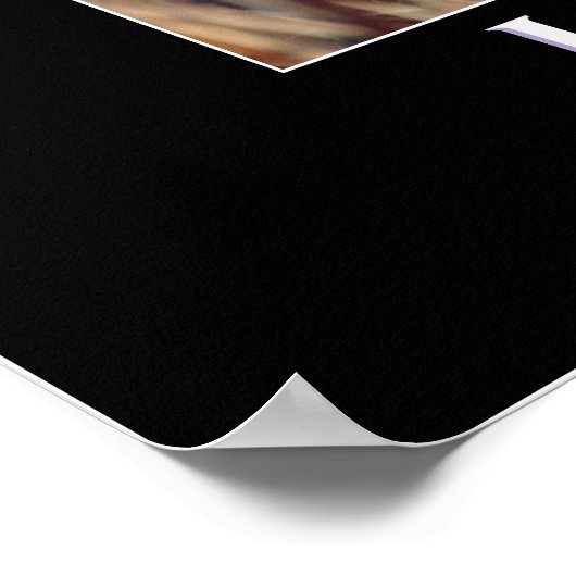 Wild Tabby Cat Demotivational Animal Poster (Hoek)