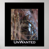 Wild Tabby Cat Demotivational Animal Poster (Voorkant)