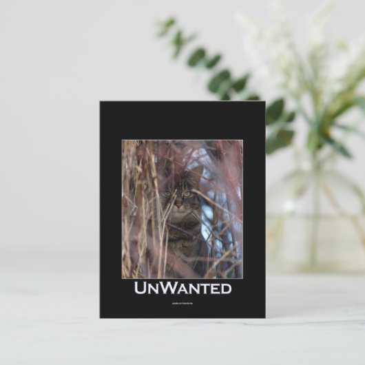 Wild Tabby Cat Demotivationeel Dier Briefkaart (Staand voorkant)