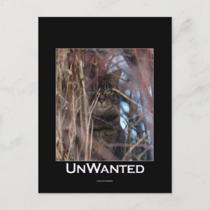 Wild Tabby Cat Demotivationeel Dier Briefkaart