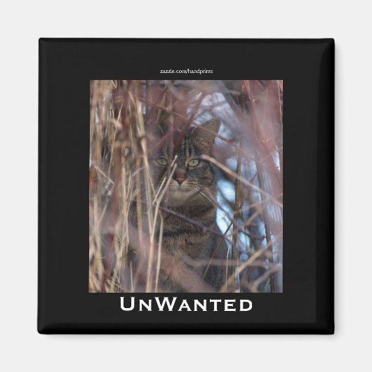 Wild Tabby Kat Demotivationele Dierenmagneet Magneet (Voorkant)