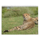 Wild Tanzania Calendar Kalender (Hoes)