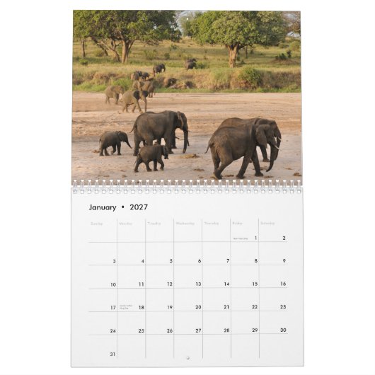 Wild Tanzania Calendar Kalender (Jan 2027)