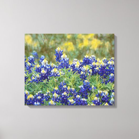 Wild Texas Bluebonnet Flowers Canvas Art Print (Voorkant)