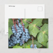 Wild Texas Druiven Briefkaart (Voorkant / Achterkant)