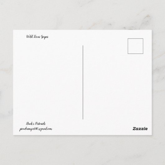 Wild Texas Druiven Briefkaart (Achterkant)