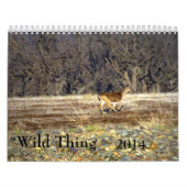 Wild Thing 2014 Kalender (Hoes)