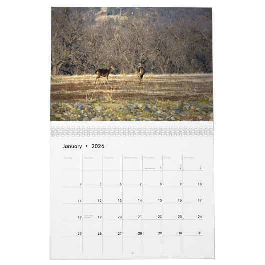 Wild Thing 2014 Kalender (Jan 2026)