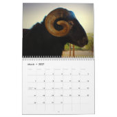 Wild Thing 2014 Kalender (Mar 2027)