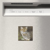 Wild Thing Bobcat Magneet (Insitu (Vaatwasser))