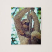 Wild Three Toed Sloth Puzzle Legpuzzel (Verticaal)