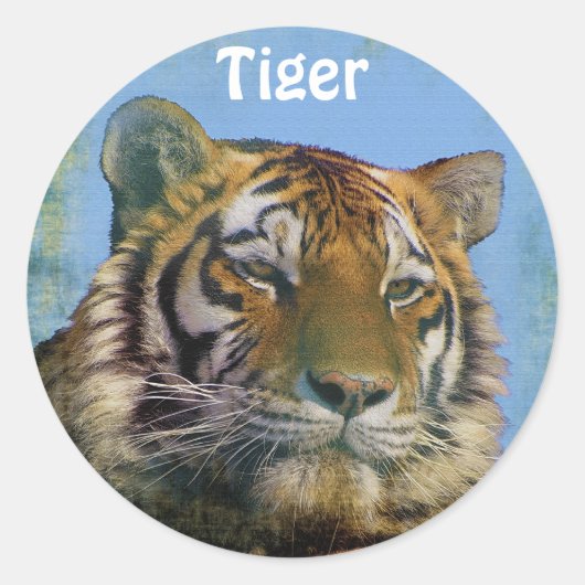 Wild Tiger Big Cat Wildlife Stickers (Voorkant)