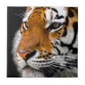 Wild Tiger Eyes Tegeltje (Voorkant)