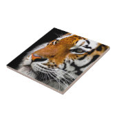 Wild Tiger Eyes Tegeltje (Zijkant)