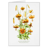 Wild Tiger Lilies (Voorkant)
