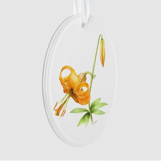 Wild Tiger Lily Ornament (voorkant)