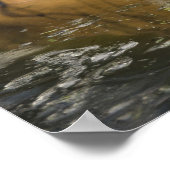 Wild Tiger Safari Oerwoud Kunstwerk Foto Poster (Hoek)