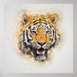 Wild Tiger Safari Oerwoud Kunstwerk Foto Poster