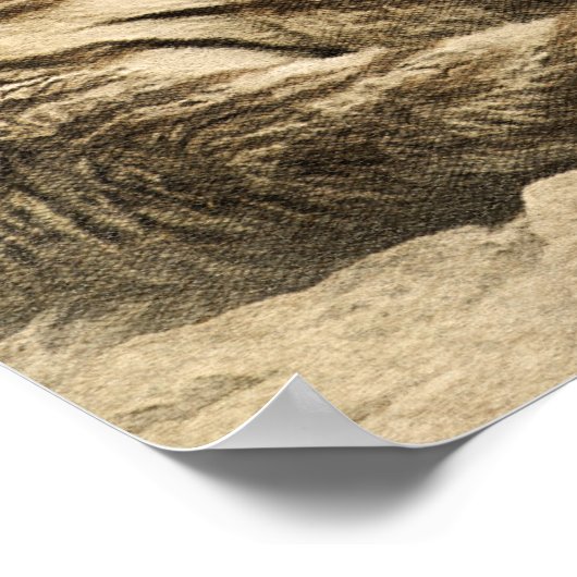 Wild Tiger Safari Oerwoud Kunstwerk Foto Poster (Hoek)