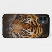 Wild Tiger Wildlife Fine Art Mobile iPhone Case (Achterkant (horizontaal))