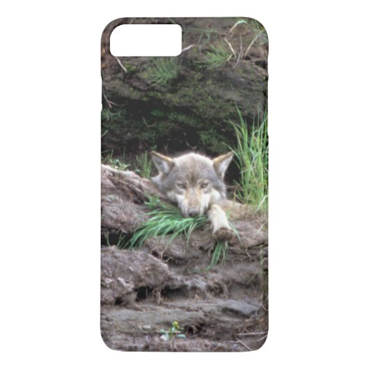 Wild Timber Wolf Cub in Den Haag Case-Mate iPhone Case (Achterkant)