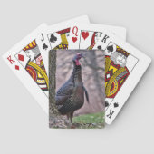 Wild Tom Turkey die kaarten speelt (Achterkant)