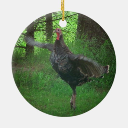 Wild Tom Turkeys Keramisch Ornament (Achterkant)
