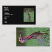 Wild Tom Visitekaartje (Voorkant / Achterkant)