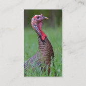 Wild Tom Visitekaartje (Achterkant)