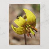 Wild Trout Lily Flower And Friend Personalized Briefkaart (Voorkant)