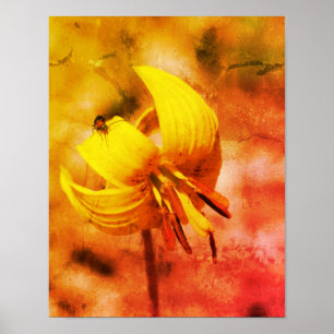Wild Trout Lily Flower and Insect Friend Abstract Poster